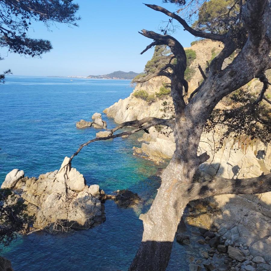 Appartamento delante del mar Lloret de Mar Esterno foto